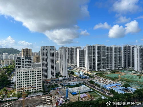 海南房地產十年風云錄 那些跌倒與站立的房企群像