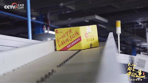央視再訪洽洽透明工廠 揭秘“新鮮”密碼，看洽洽如何以網(wǎng)絡(luò)技術(shù)服務引領(lǐng)行業(yè)變革